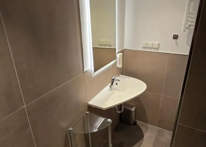 Hotel Magdalenenhof Inklusive Meinecardplus 3*